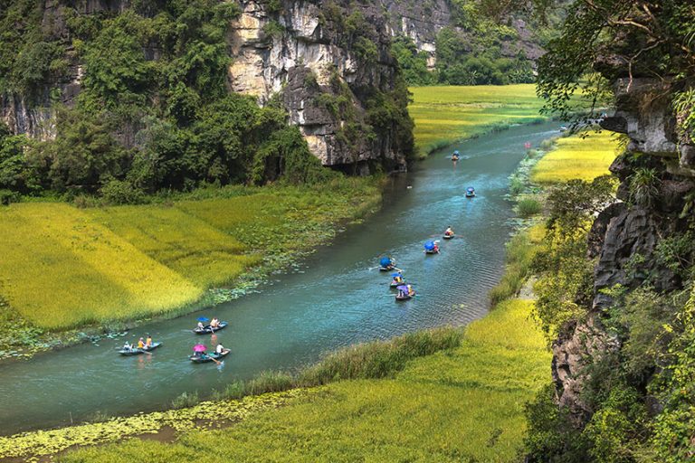 pexels-quang-nguyen-vinh-222549-2132202