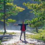 pexels-hi-u-le-921253873-34394191