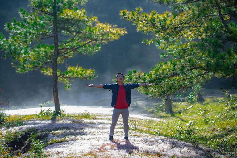 pexels-hi-u-le-921253873-34394191