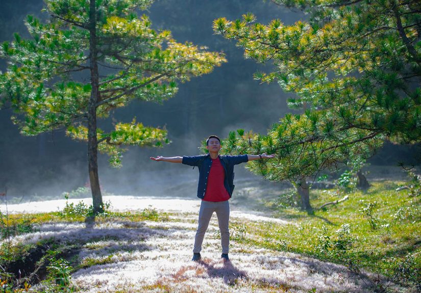 pexels-hi-u-le-921253873-34394191